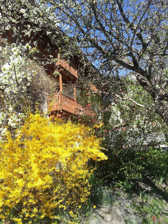 Chalet D'Heidi Bourg-Saint-Maurice Esterno foto